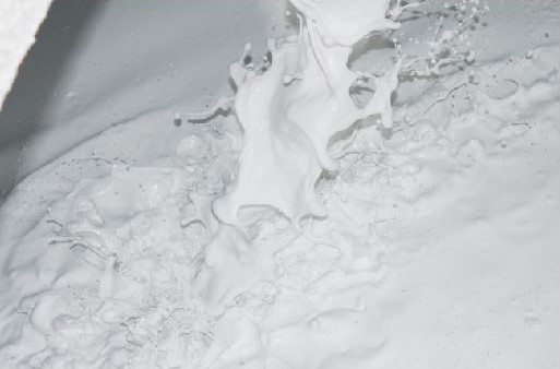 Wet Ground Calcium Carbonate (WGCC)